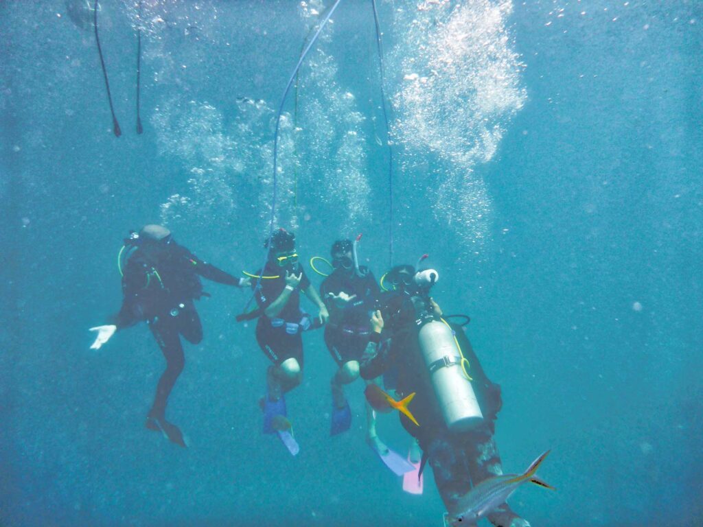 Koh Samui Open Water Scuba Diving Class