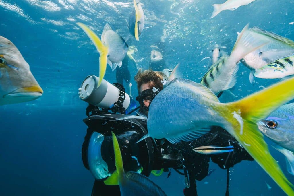 Man Scuba Diving at Koh Tao with Tropical Fish