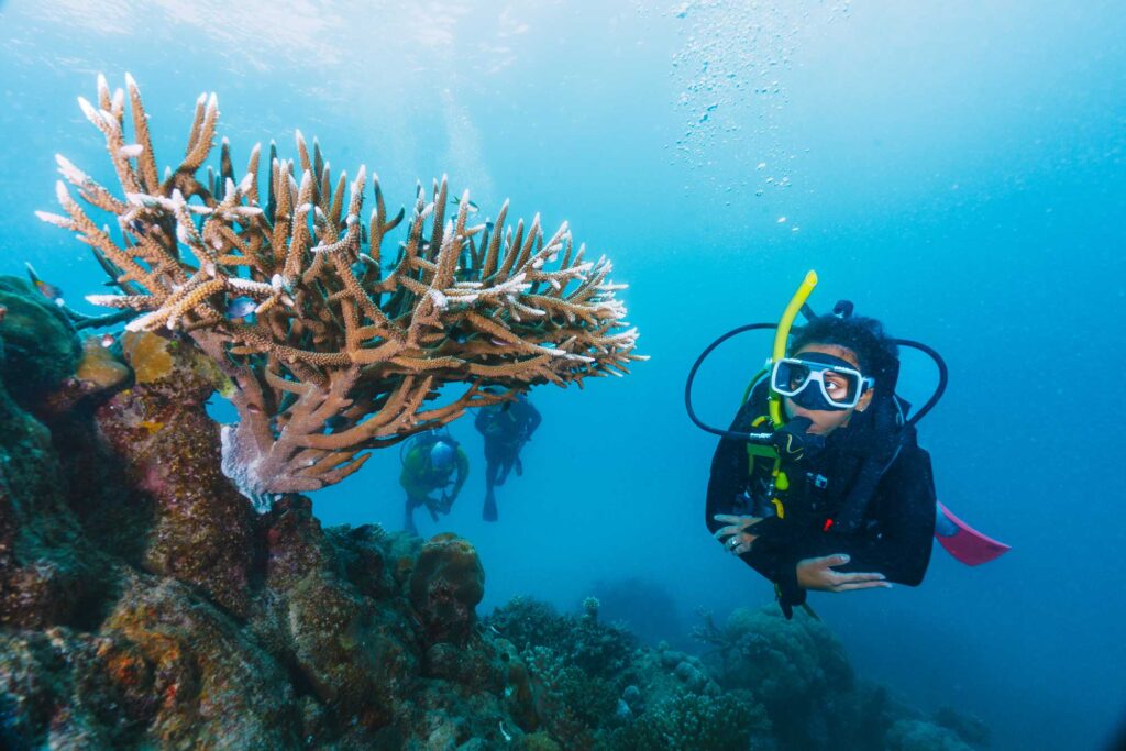 Scuba Diver at Koh Tao Coral Reef